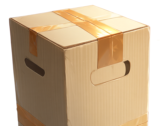 switch 梱包 ダンボール サイズ